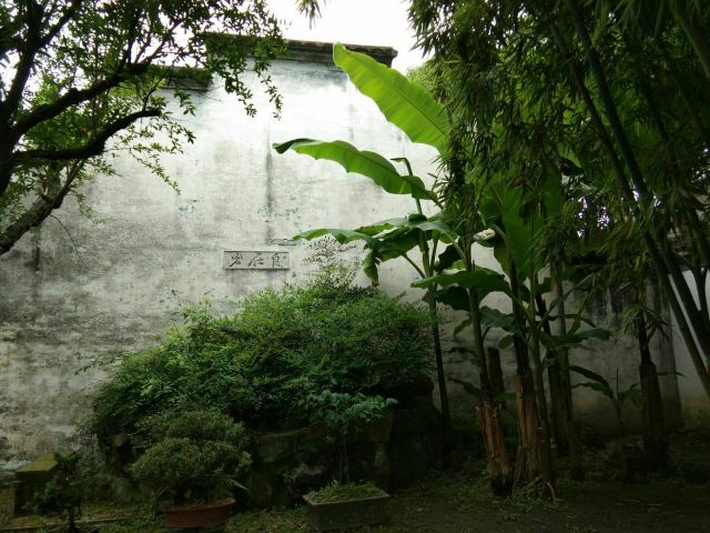 青藤书屋旅行图片 2