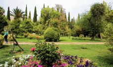 天堂花园-设拉子-zhulei831230