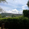 Saruketha
