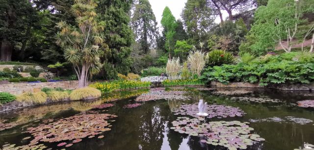 Royal Tasmanian Botanical Gardens