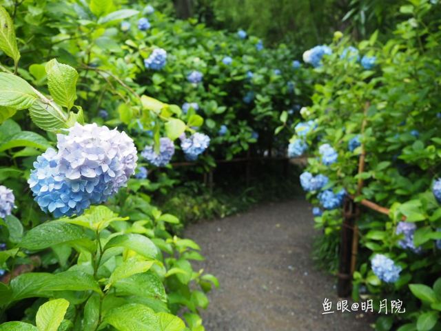 Meigetsu-in