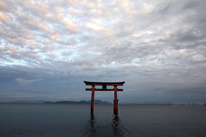 京都近郊：遗落在湖中的白鬚神社