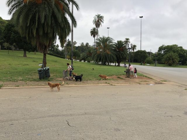 Monument to the Independence of Brazil