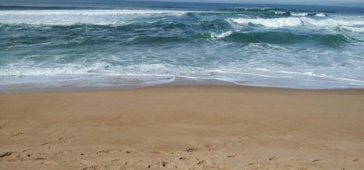 Playa Del Rey Beach Tickets Deals Reviews Family - 