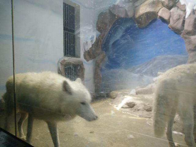 Xiaomeisha Sea World
