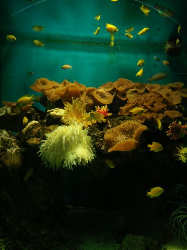 Xiaomeisha Sea World