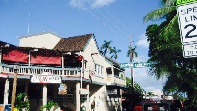 Cool Cat Cafe - Maui