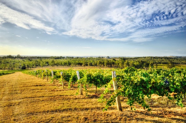 Amanda's on the Edge