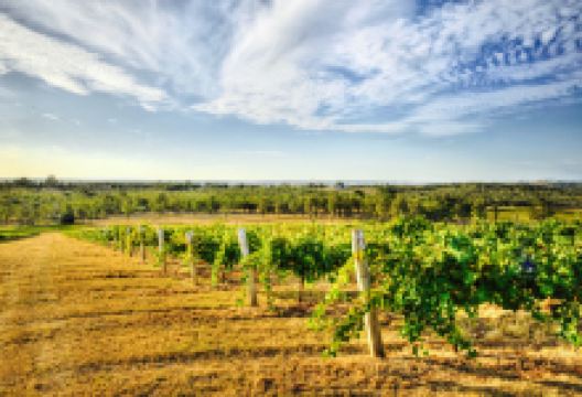 Amanda's on the Edge美食图片