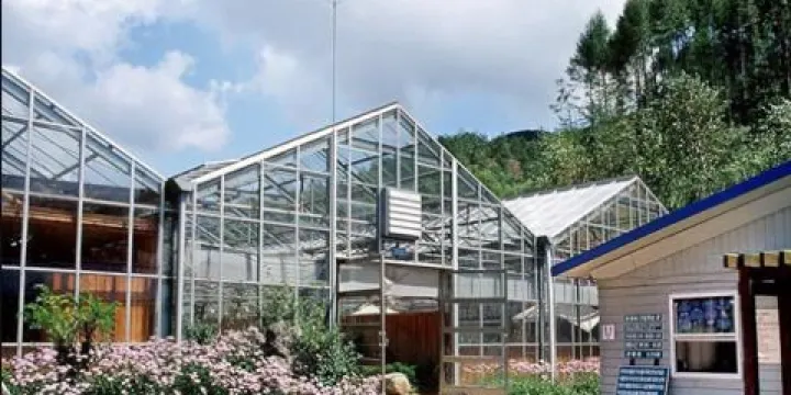 韓國自生植物園