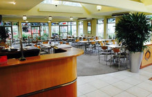 Fig Restaurant and Bar餐厅图片
