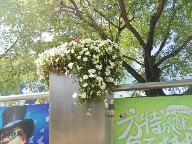 Shenyang Fantawild World