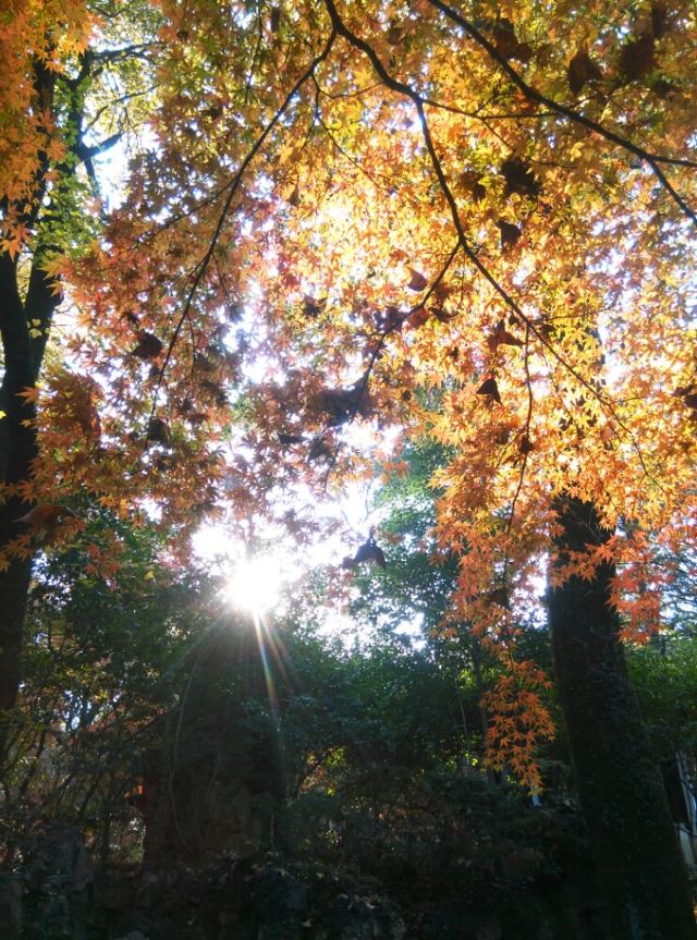 Yushan Park
