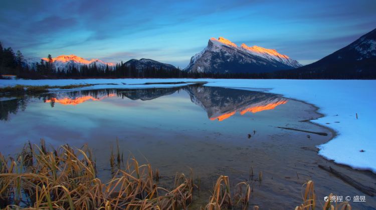 6-Day Canadian Tour from Vancouver·Vancouver Free Day | Banff, Yoho, Johnston Canyon, Lake Louise | Free Airport Transfer
