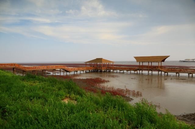 紅海灘國家風景廊道