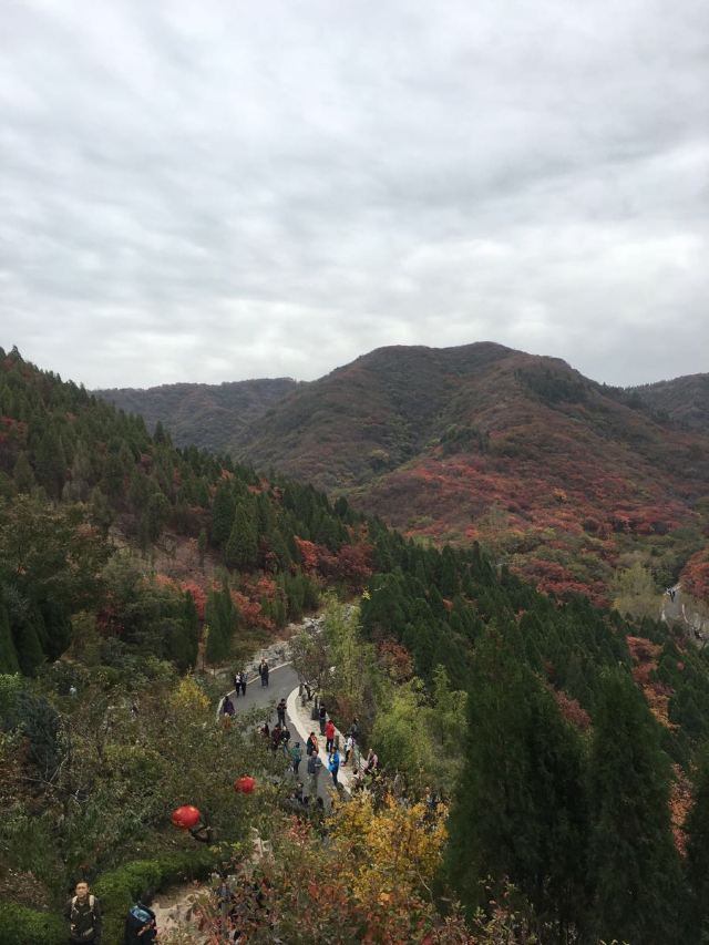 홍엽곡