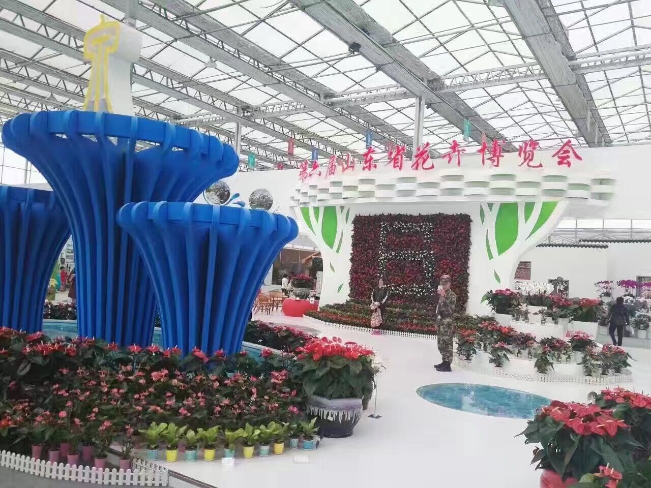 商河花卉苗木大世界