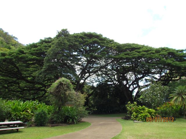 Waimea Valley