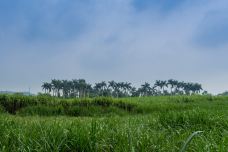 金鹿园-湛江-doris圈圈