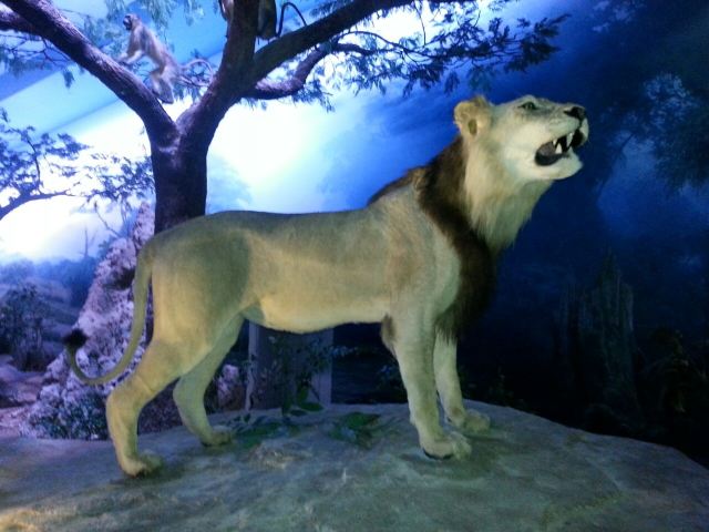 Tianjin Natural History Museum