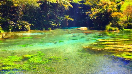 Blue Springs