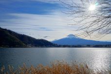 富士河口湖町-doris圈圈