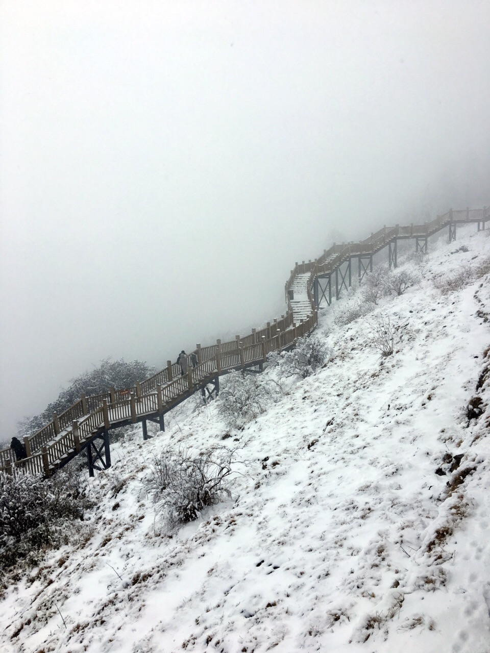 西岭雪山雪景