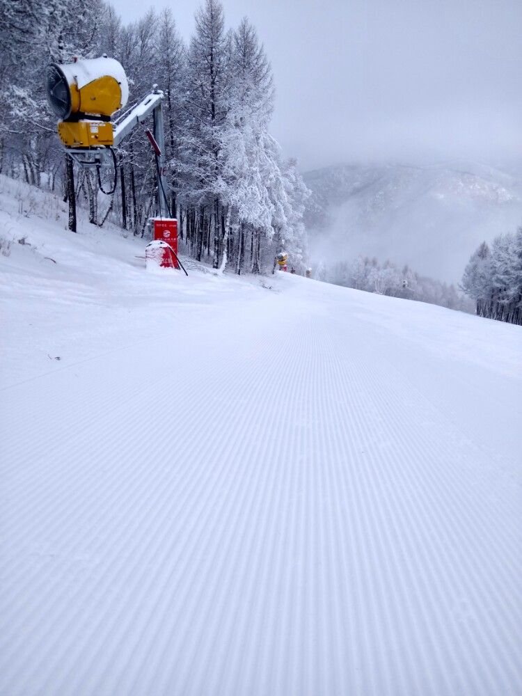 冬季到崇礼来滑雪