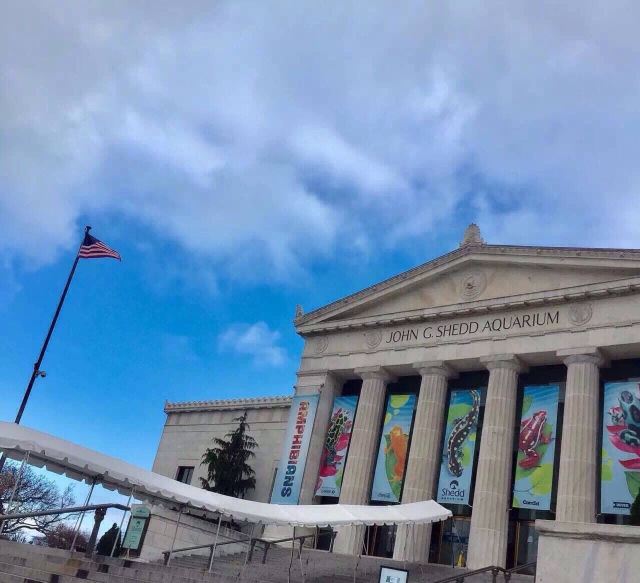 The Field Museum