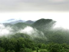 老山国家森林公园-南京-傻桃子呦西
