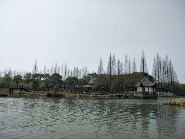 Shajiabang Scenic Area