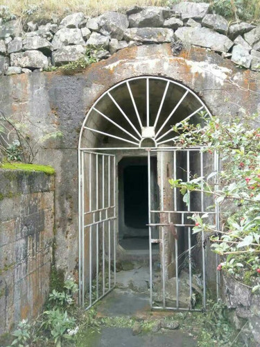 漫步杜鹃花海---云端之城周宁泗桥赏花一日游