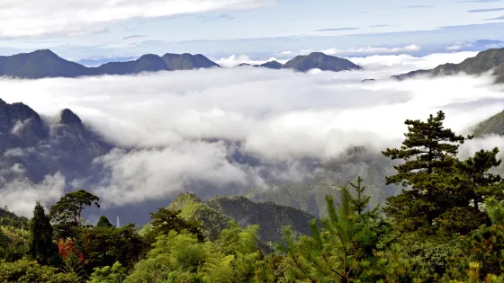 周岱村