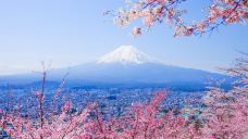 富士山-富士宫市-doris圈圈