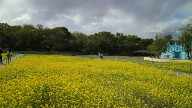 Zhaoling Tomb (Beiling Park)