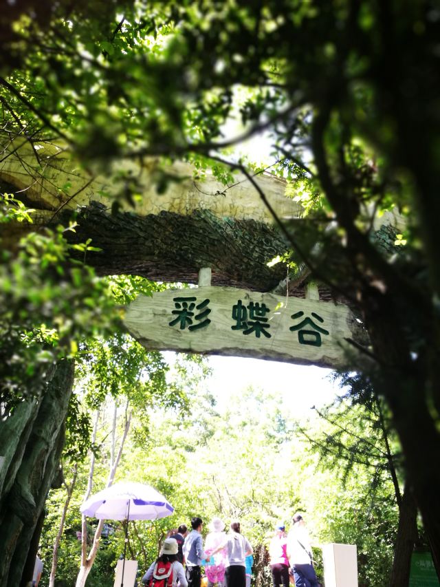 Tianmu Lake Scenic Area