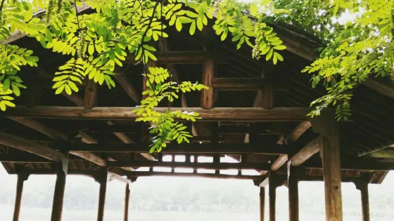 孔目江國家濕地公園