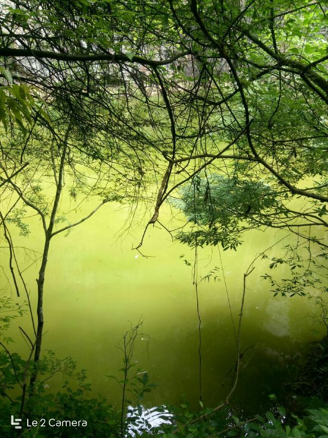 Nanjiang Canyon