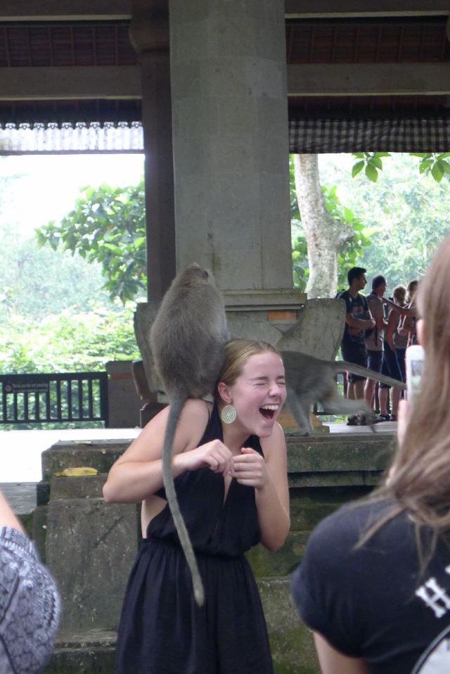 Ubud Monkey Forest