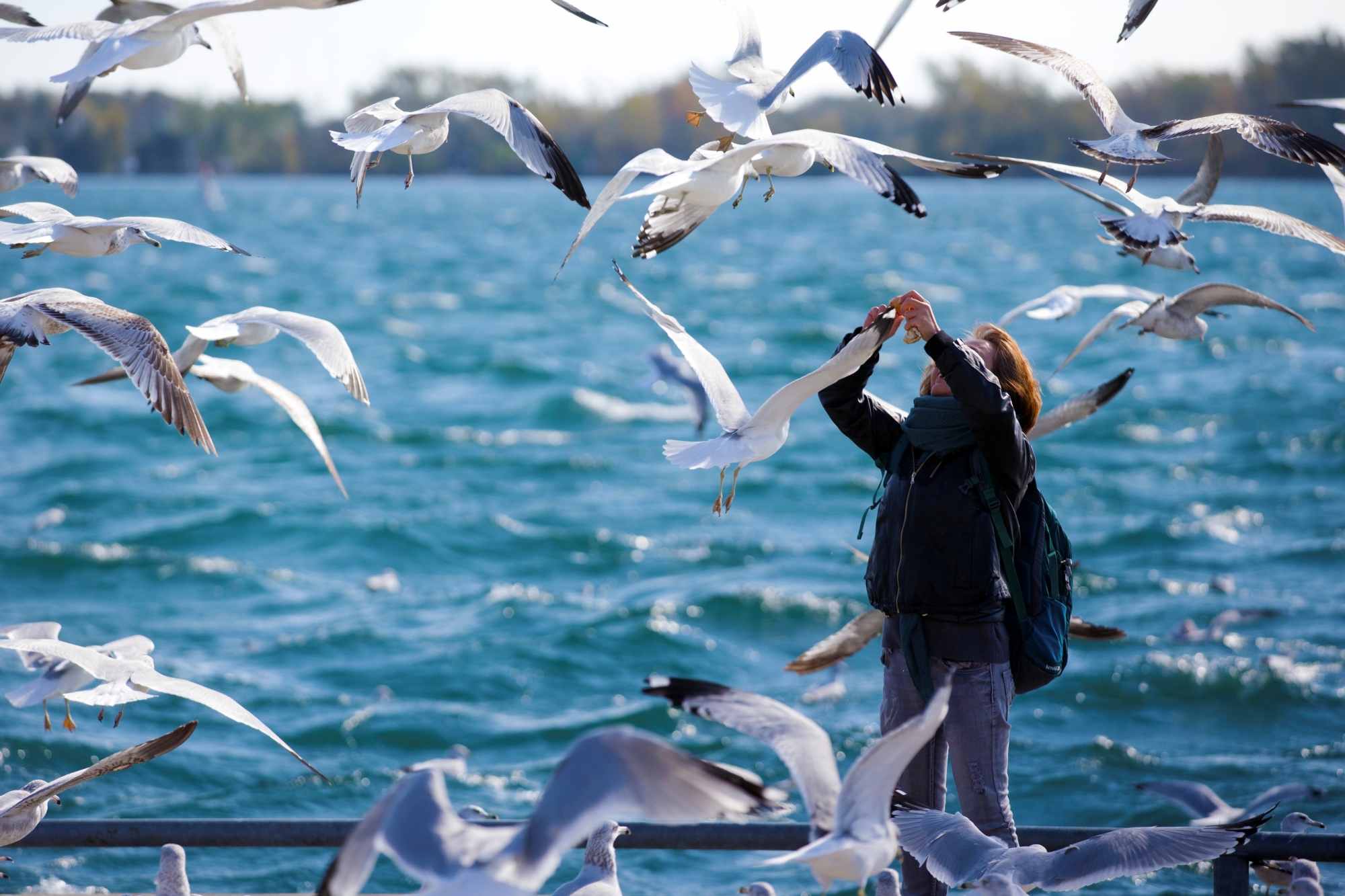 渔人码头餐厅图片