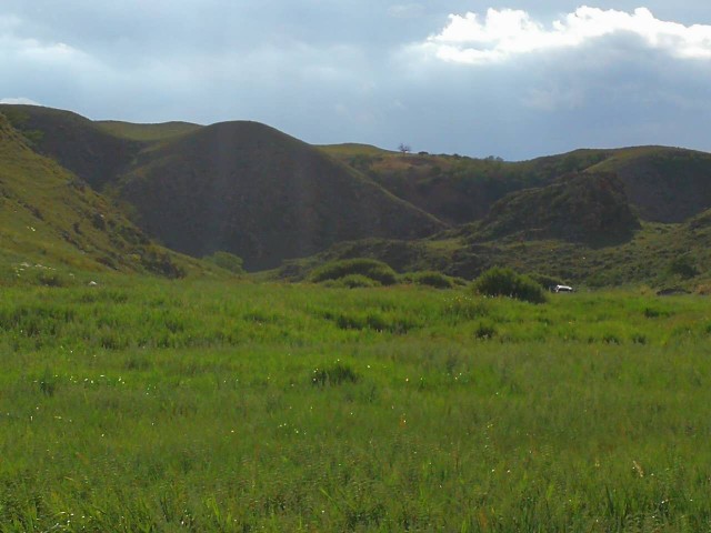 锡林浩特白音锡勒草原自然保护区。