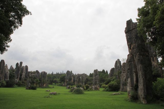 Stone Forest