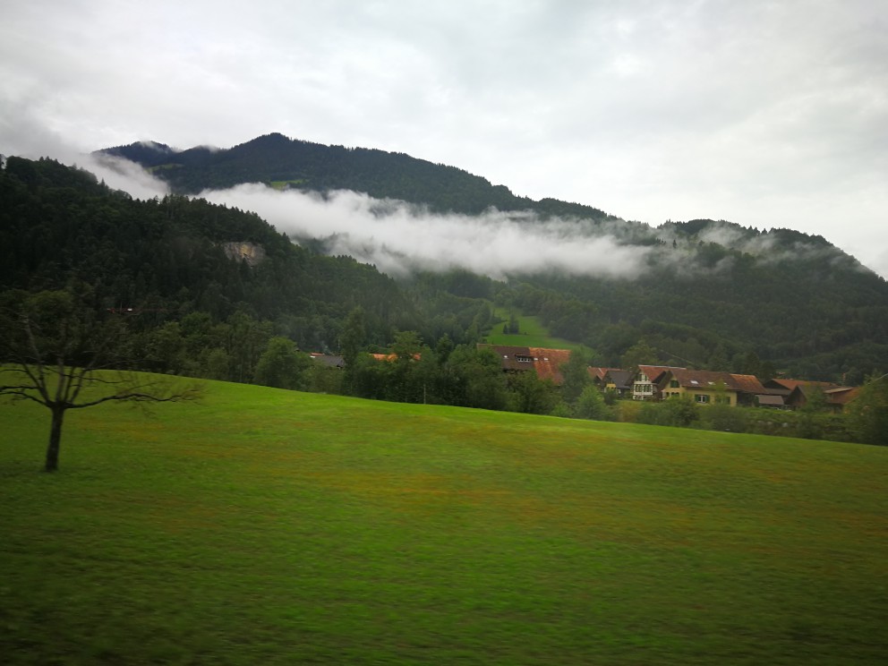 登山之半山坡风景