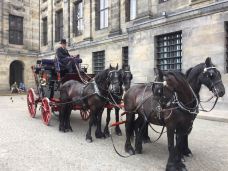 水坝广场-阿姆斯特丹-ᨳິ寒烟似冰ദິ