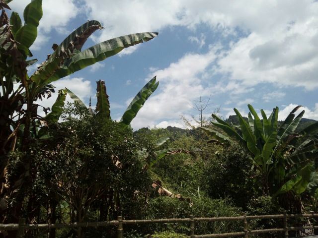 Zhaoxing Village
