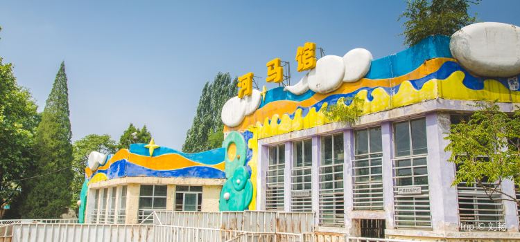 Tianjin Zoo Tickets Deals Reviews Family Holidays - 