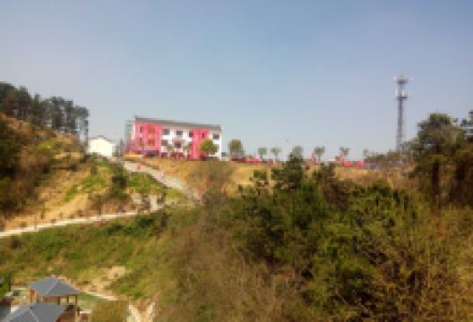 良品铺子(武汉汉阳万福里店)购物图片