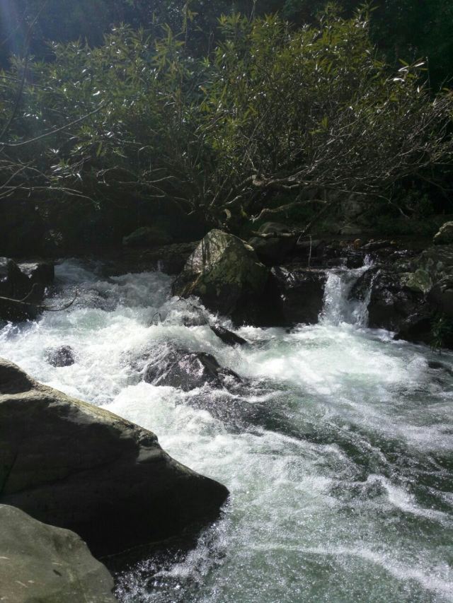 Wuzhishan Tropical Rainforest