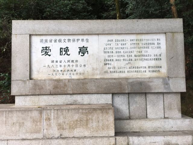 애완정