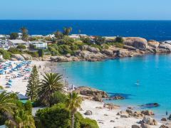 开普敦观光一日游